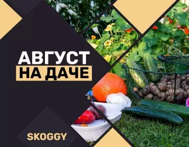 Что посадить в августе на даче